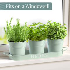 Barnyard Designs Soft Mint Planter Set with herbs
