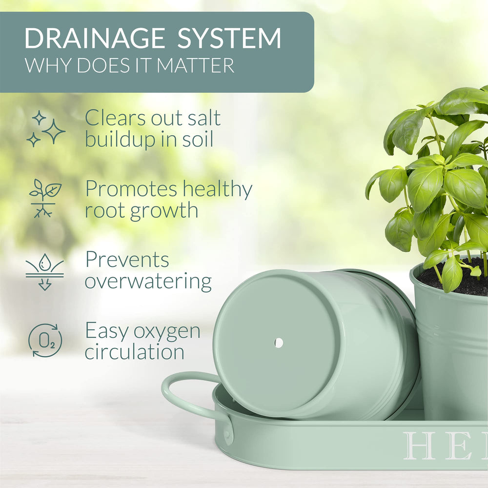 Barnyard Designs Vintage Metal Herb Planters on kitchen counter