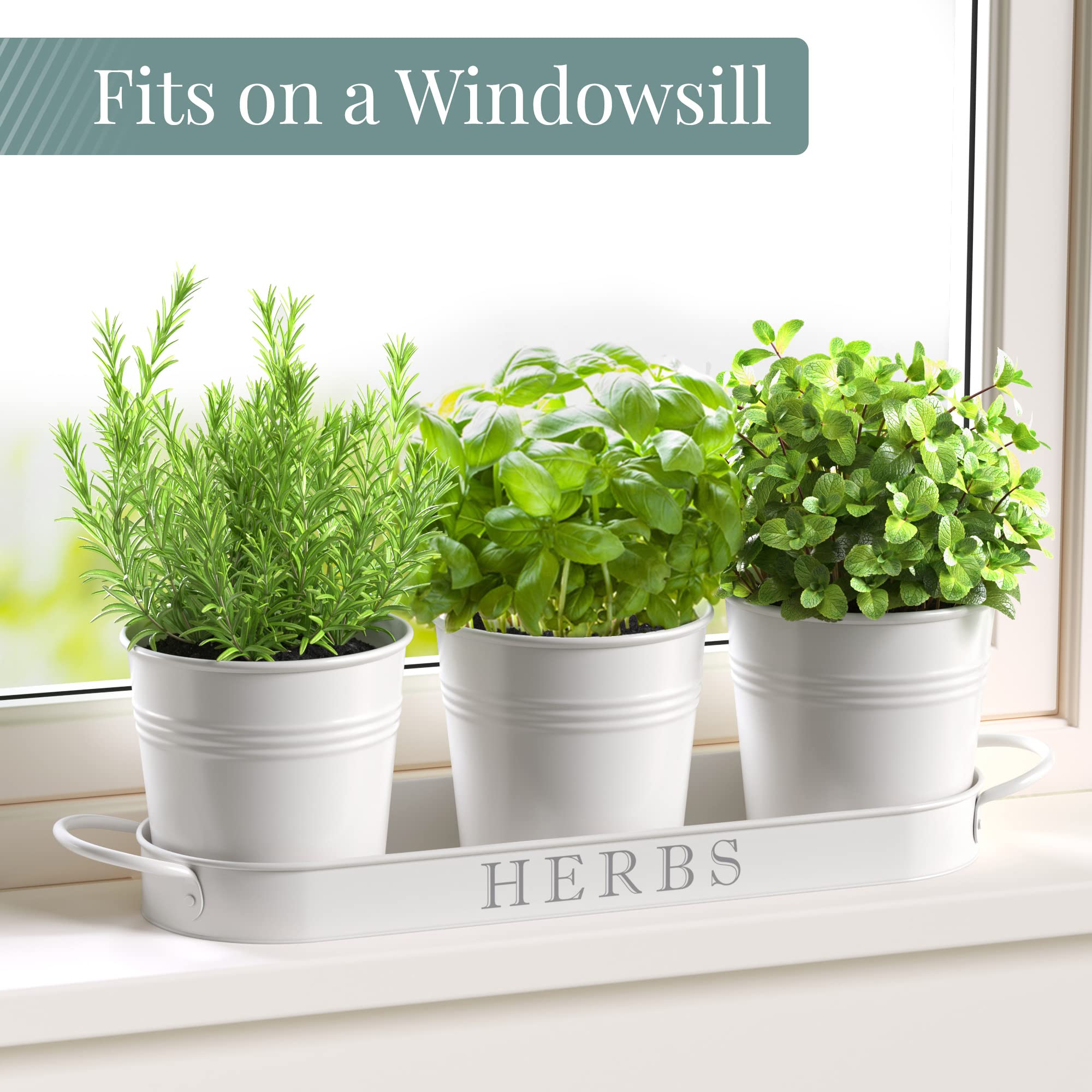 Barnyard Designs vintage-style window planter set on kitchen counter