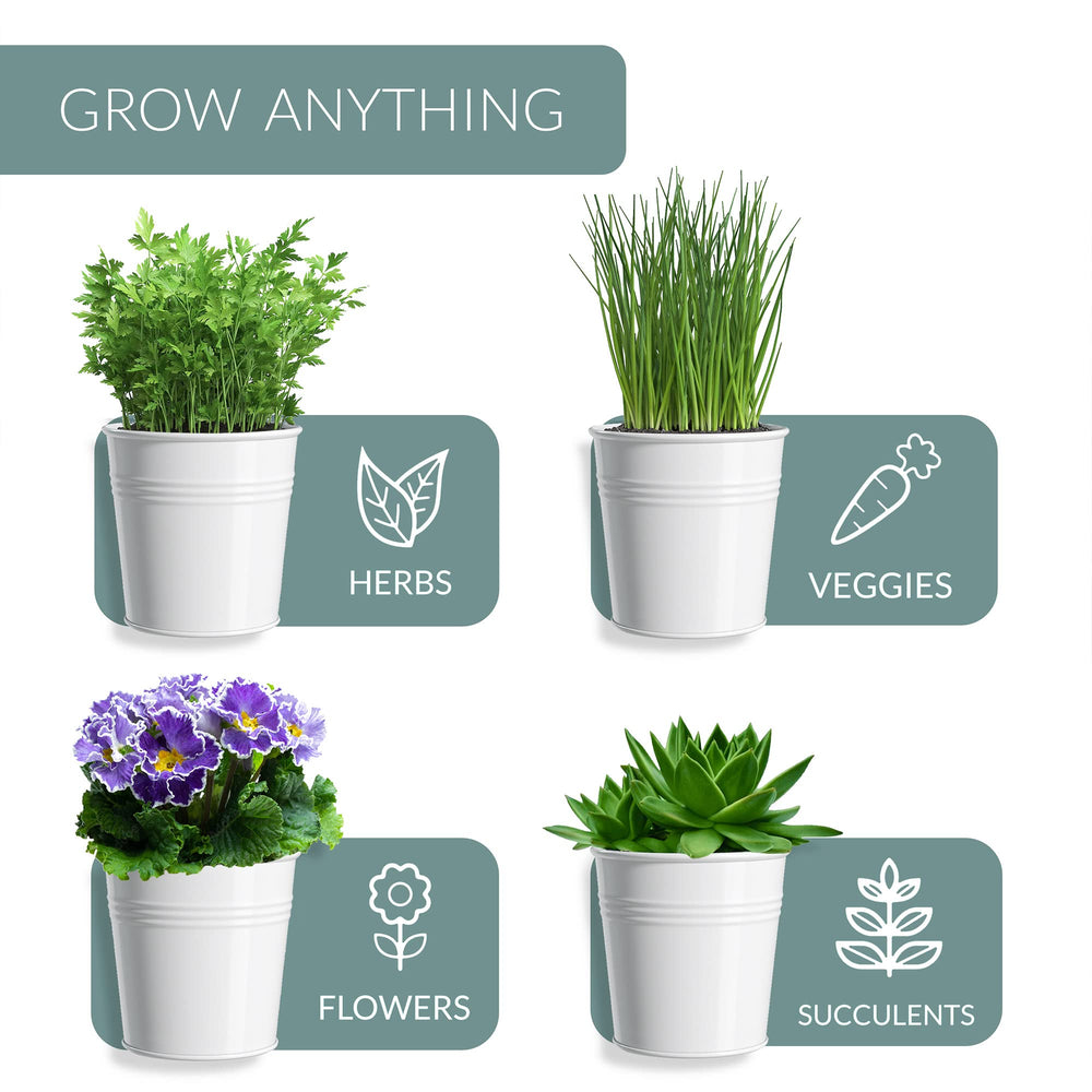 Barnyard Designs white herb garden planter with basil and rosemary