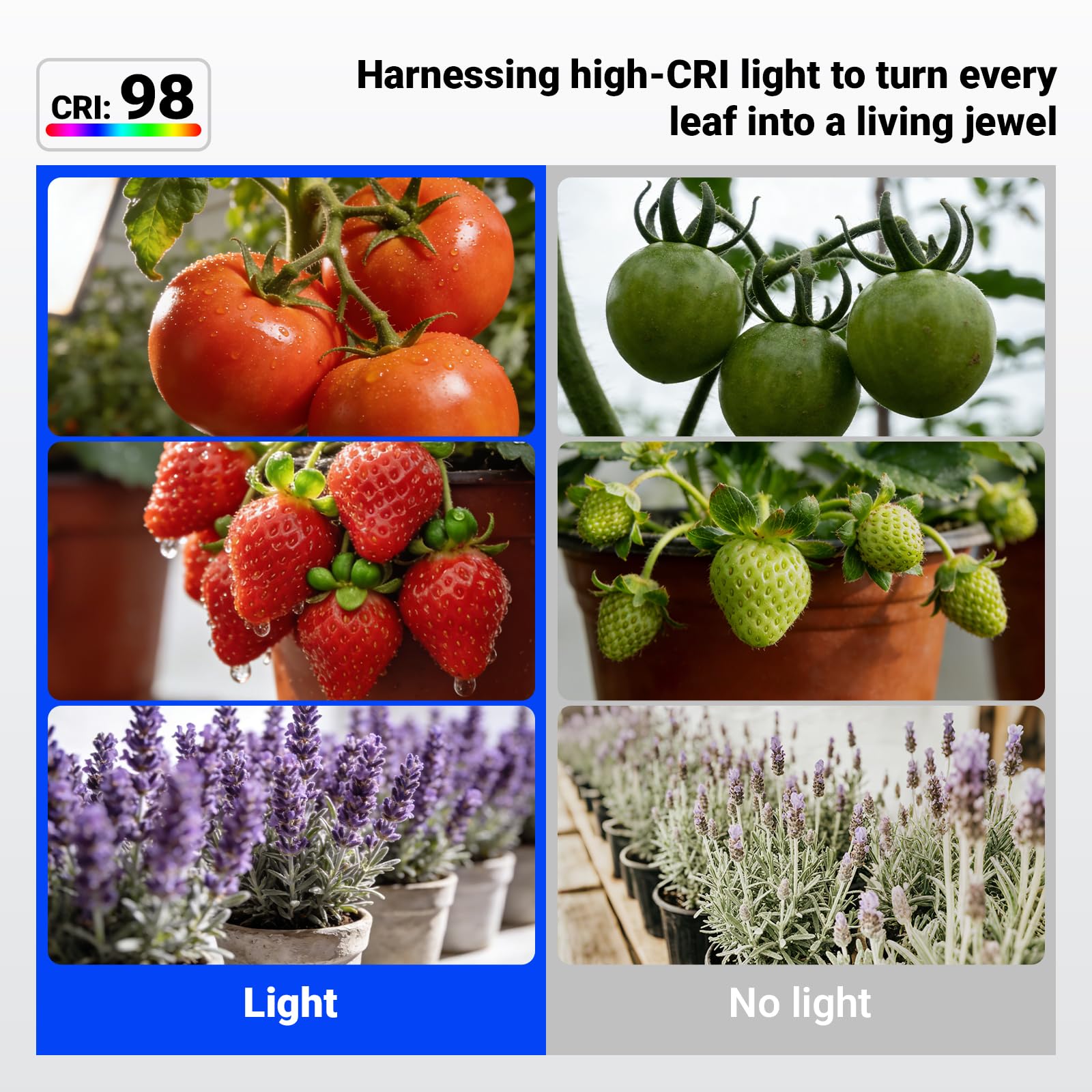 Barrina Grow Light Bulb demonstrating efficient heat dissipation