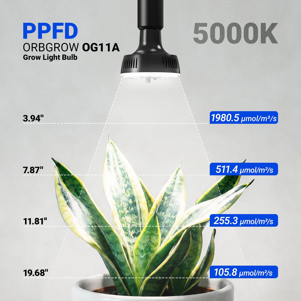 Barrina Grow Light Bulb with integrated dimming feature