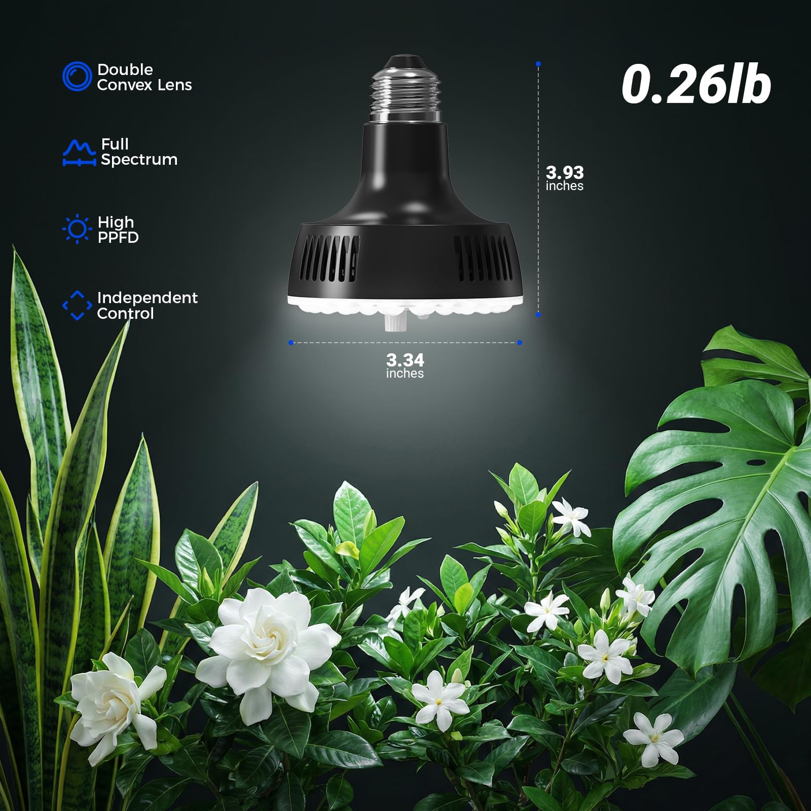 Barrina Grow Light Bulbs pack of 4, arranged for display