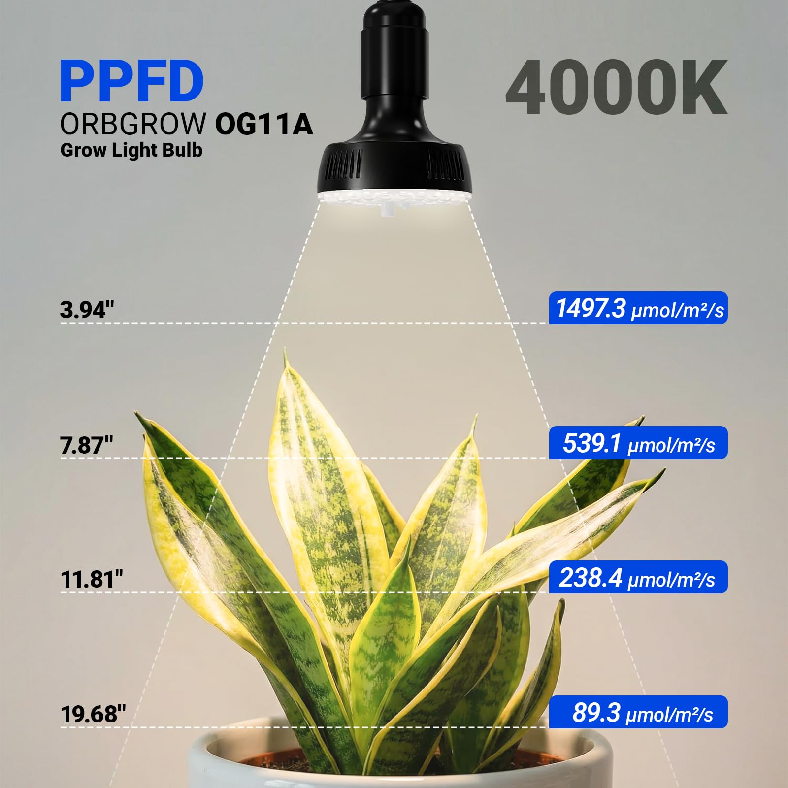 Barrina grow light displaying full spectrum light output