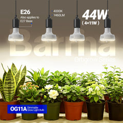 Barrina OG11A grow light bulb lit in indoor plant setup