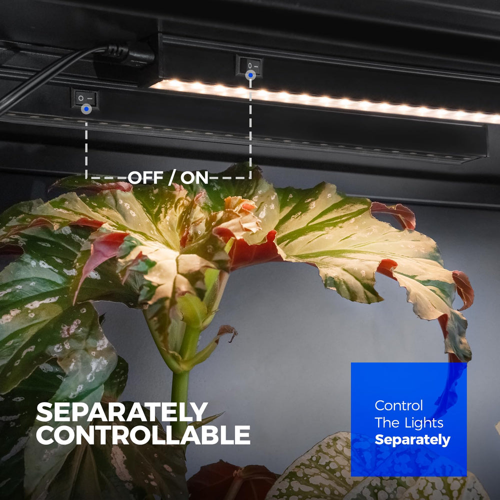 Barrina T5 Grow Light 2ft showing full spectrum light
