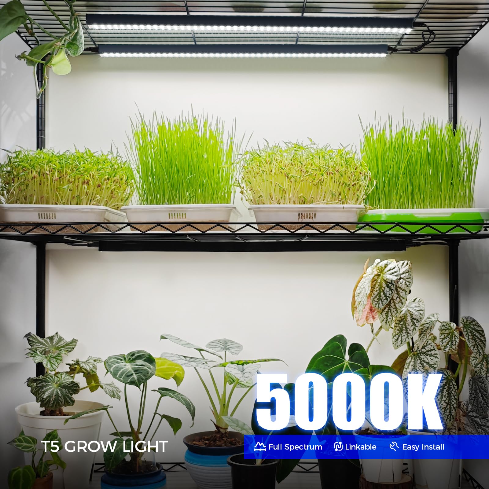 Barrina T5 grow light attached to a plant shelf