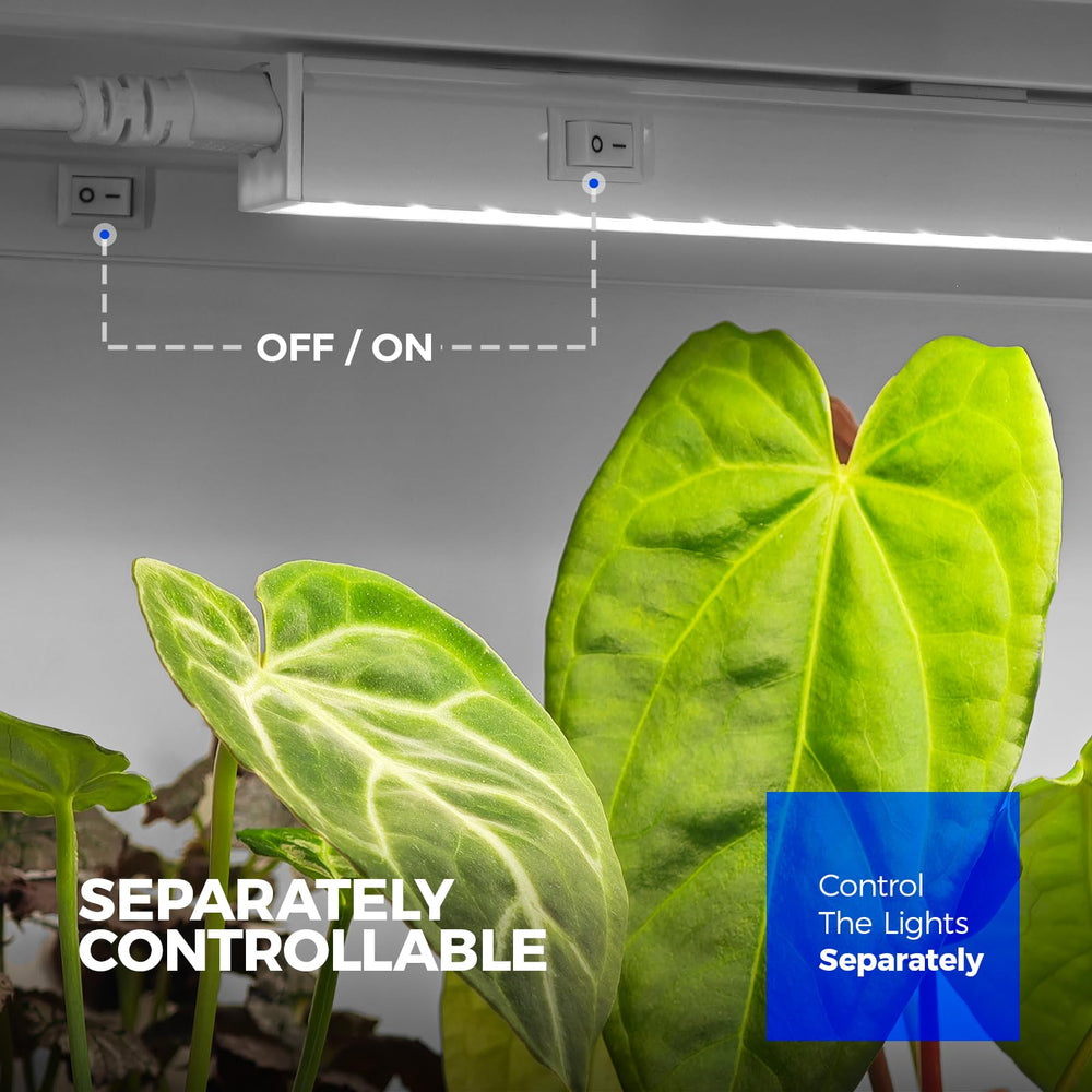 Barrina T5 Grow Lights 1FT installation setup with plants