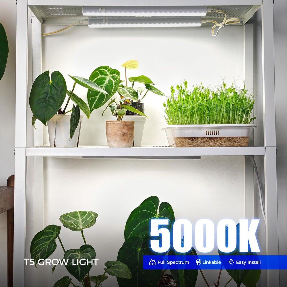 Barrina T5 Grow Lights 1FT white model with installation clips