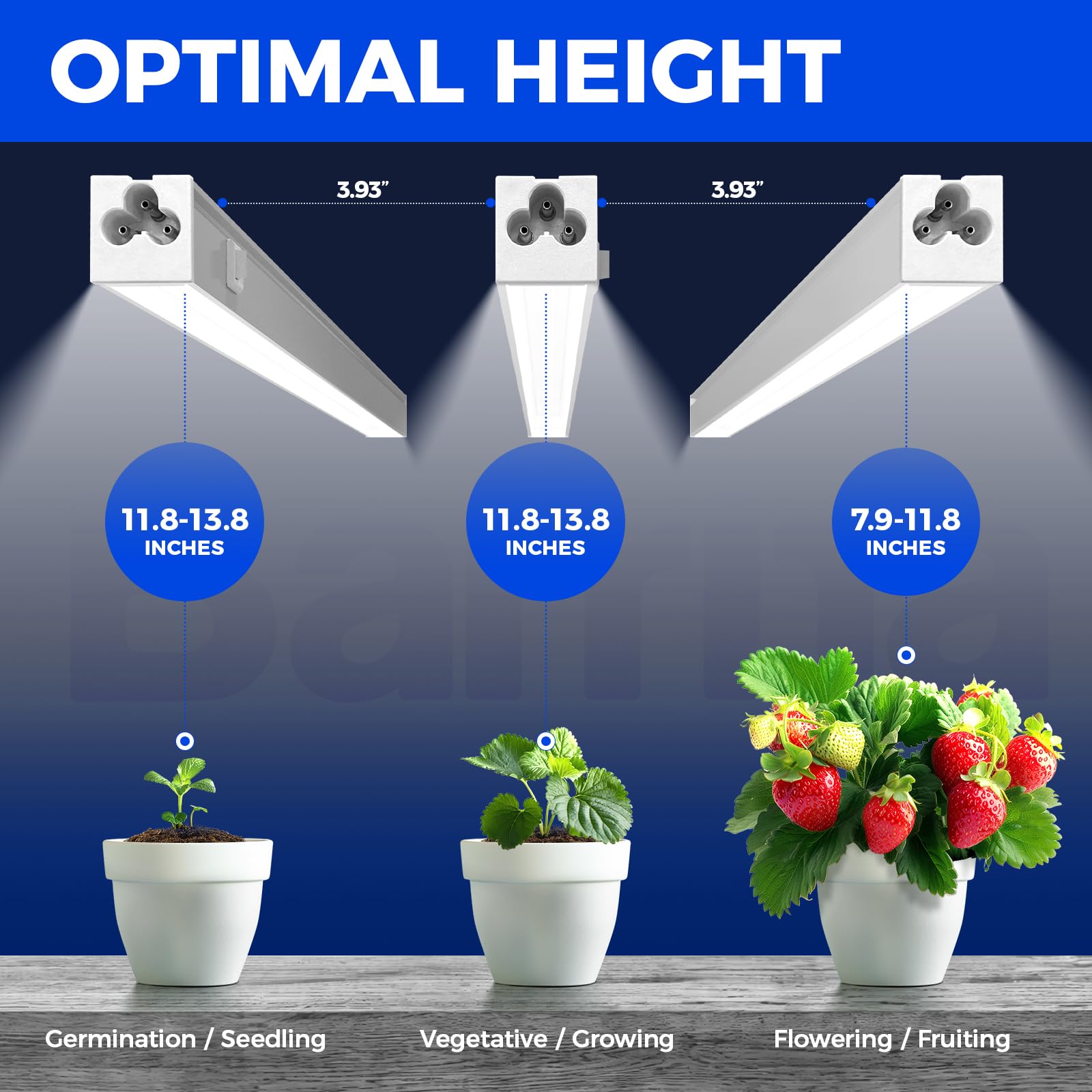 Barrina T5 Grow Lights 1FT with power cord and on/off switch