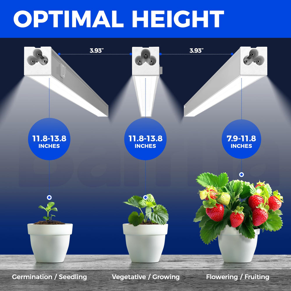 Barrina T5 Grow Lights 1FT with power cord and on/off switch