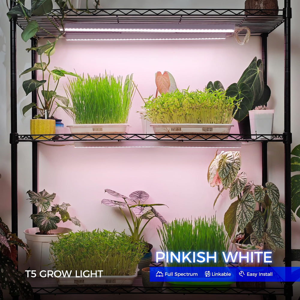 Barrina T5 Grow Lights 2FT setup with plants