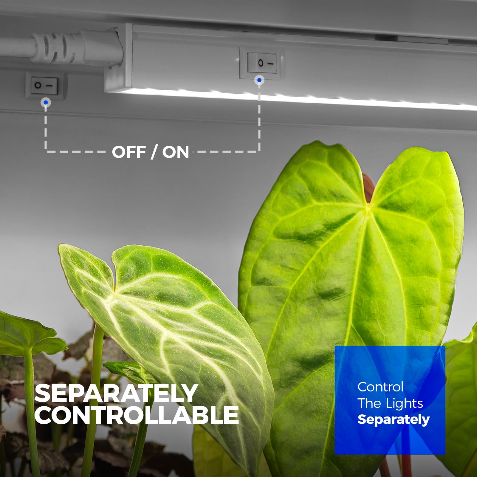 Barrina T5 Grow Lights 5000K spectrum light