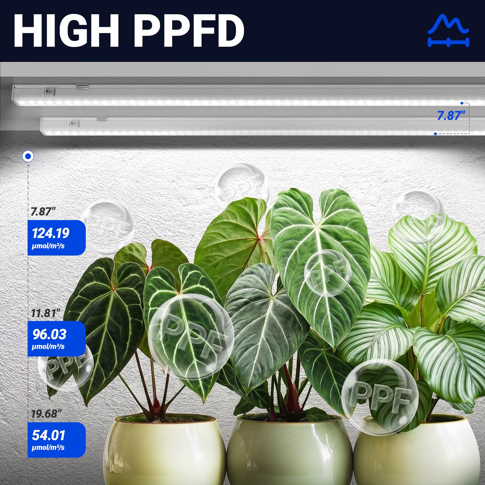Barrina T5 Grow Lights connected in series on a plant shelf