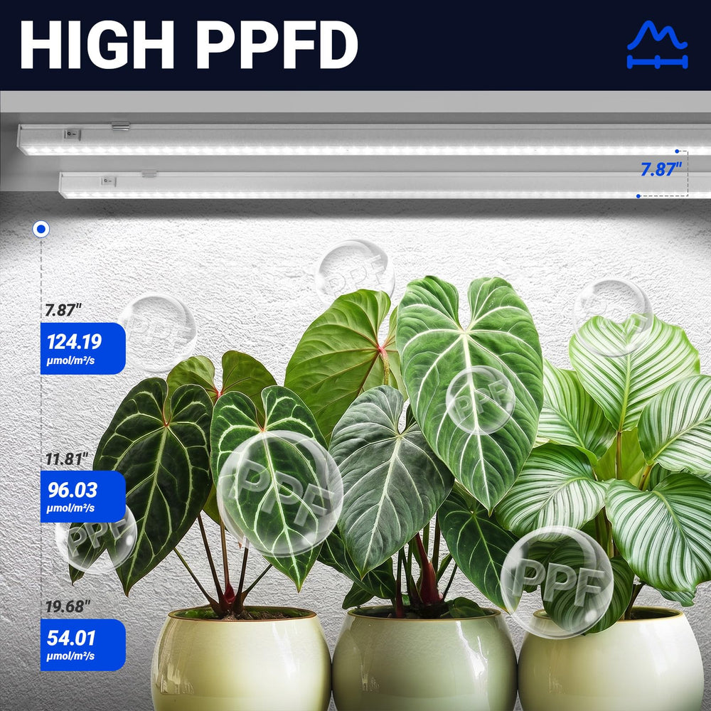 Barrina T5 Grow Lights connected in series on a plant shelf