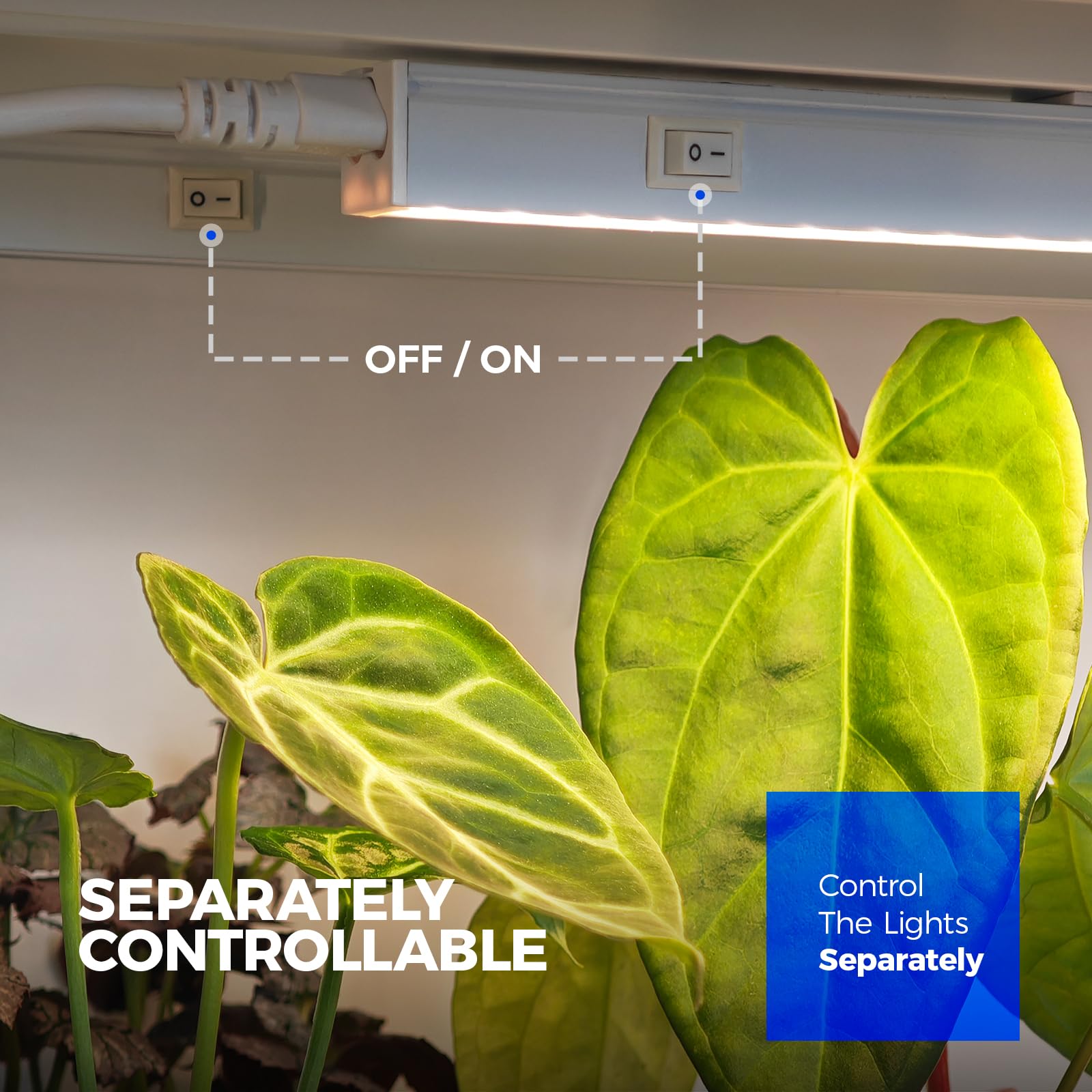 Barrina T5 Grow Lights in a plant setup with various plants