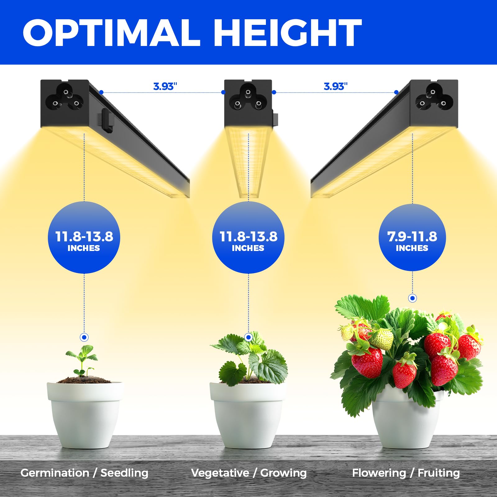 Barrina T5 Grow Lights installed in an indoor garden setup