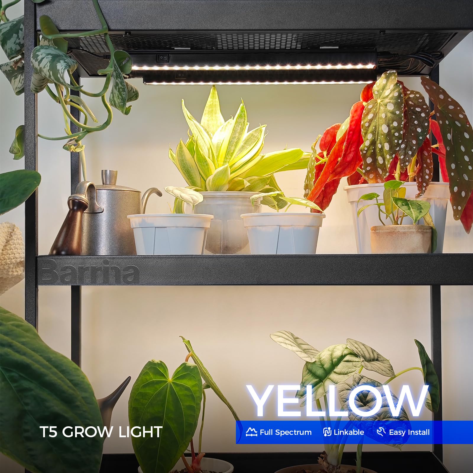 Barrina T5 Grow Lights showing the power cord and ON/OFF switch