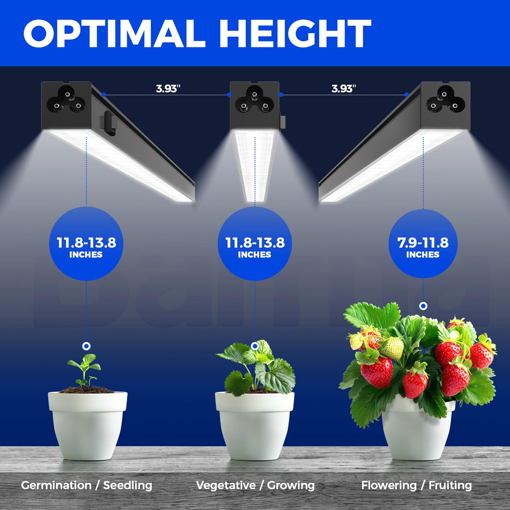 Barrina T5 LED Grow Light 1FT installation accessories included