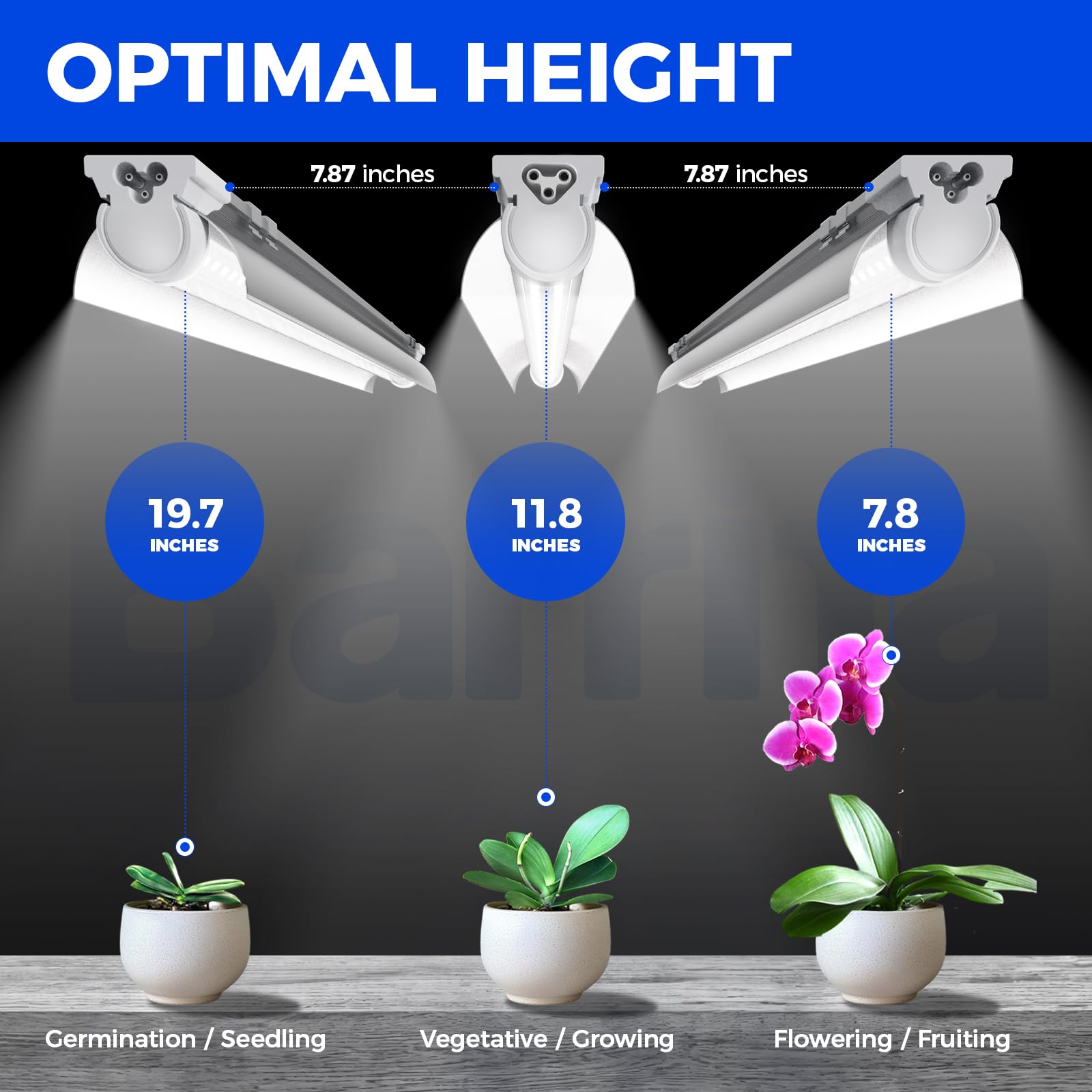 Barrina T8 Grow Light demonstrating bright illumination