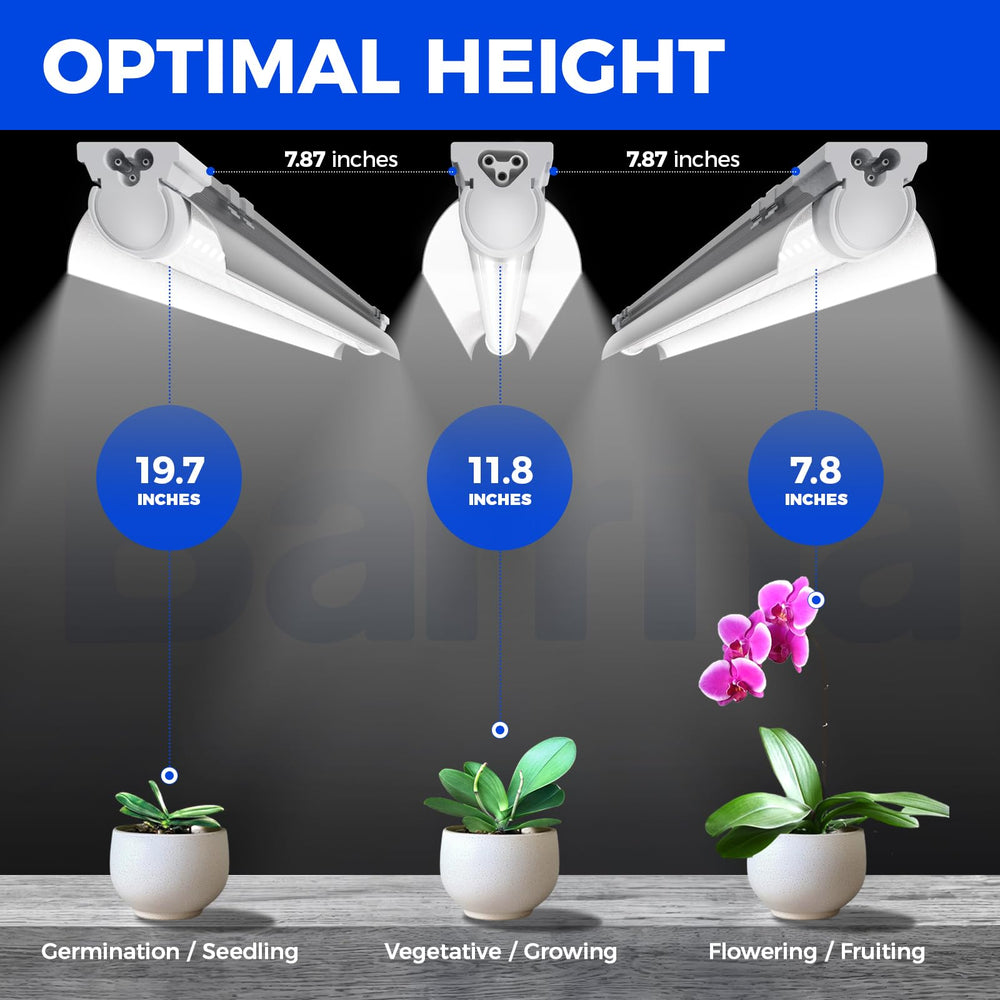 Barrina T8 Grow Light demonstrating bright illumination