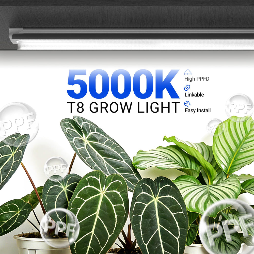 Barrina T8 Grow Light reflector design
