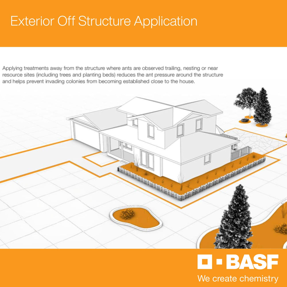 BASF Alpine WSG application in a home setting