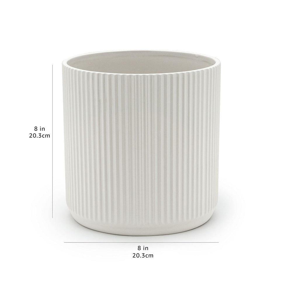 Basics white ceramic planter with herbs on patio