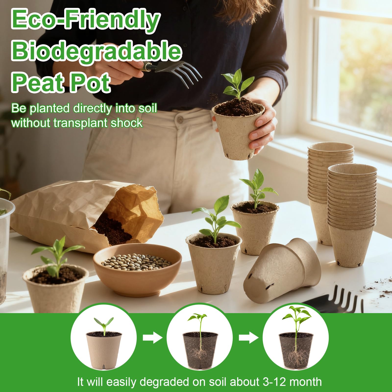 Baxrou peat pots in use with seedlings planted