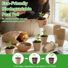 Baxrou peat pots in use with seedlings planted