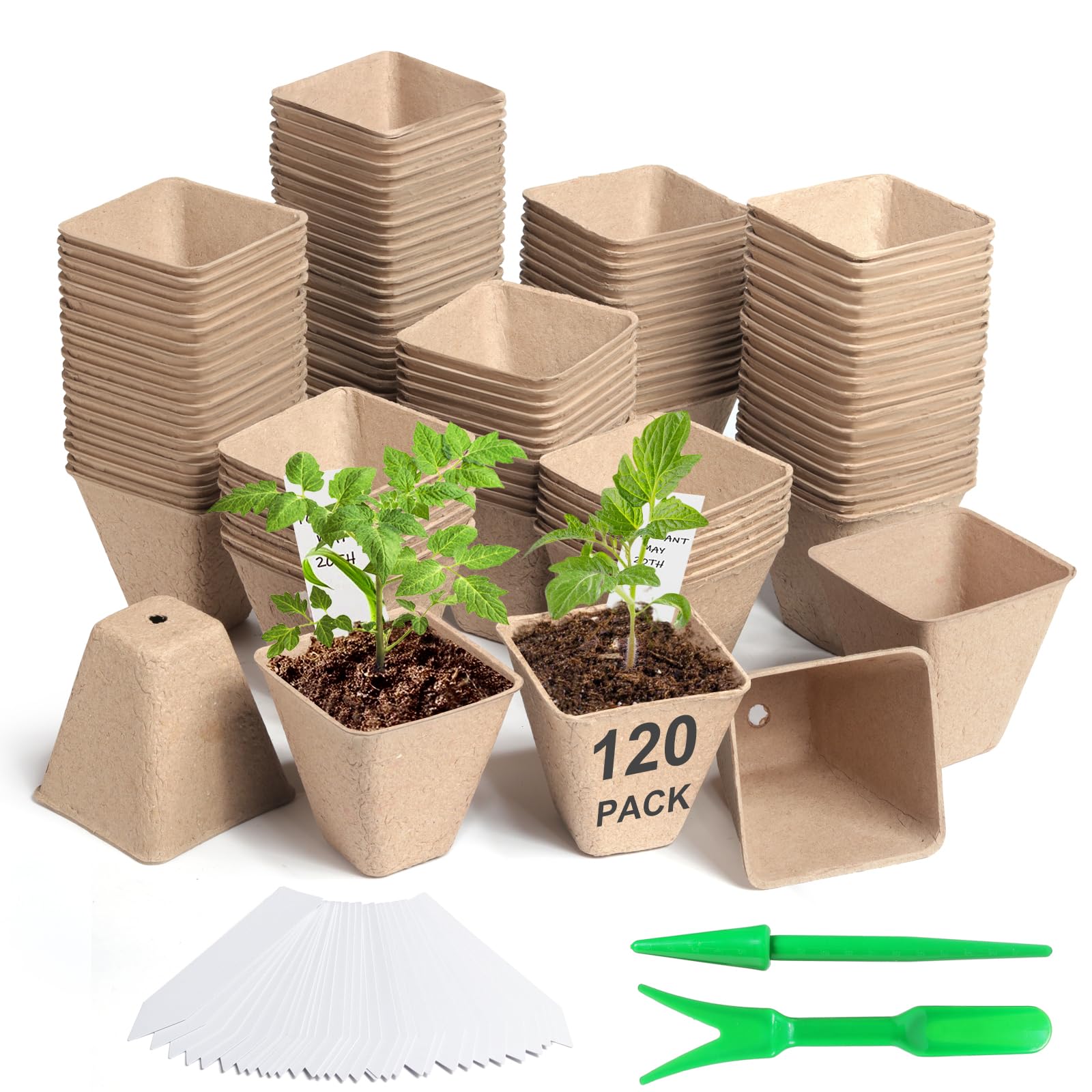 Baxrou peat pots with labels for easy identification