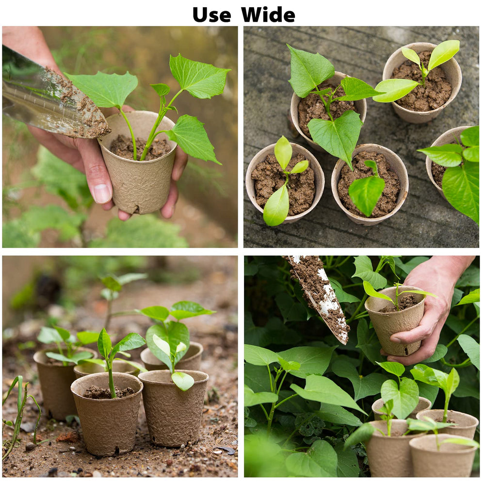Baxrou peat pots with mini transplant tools