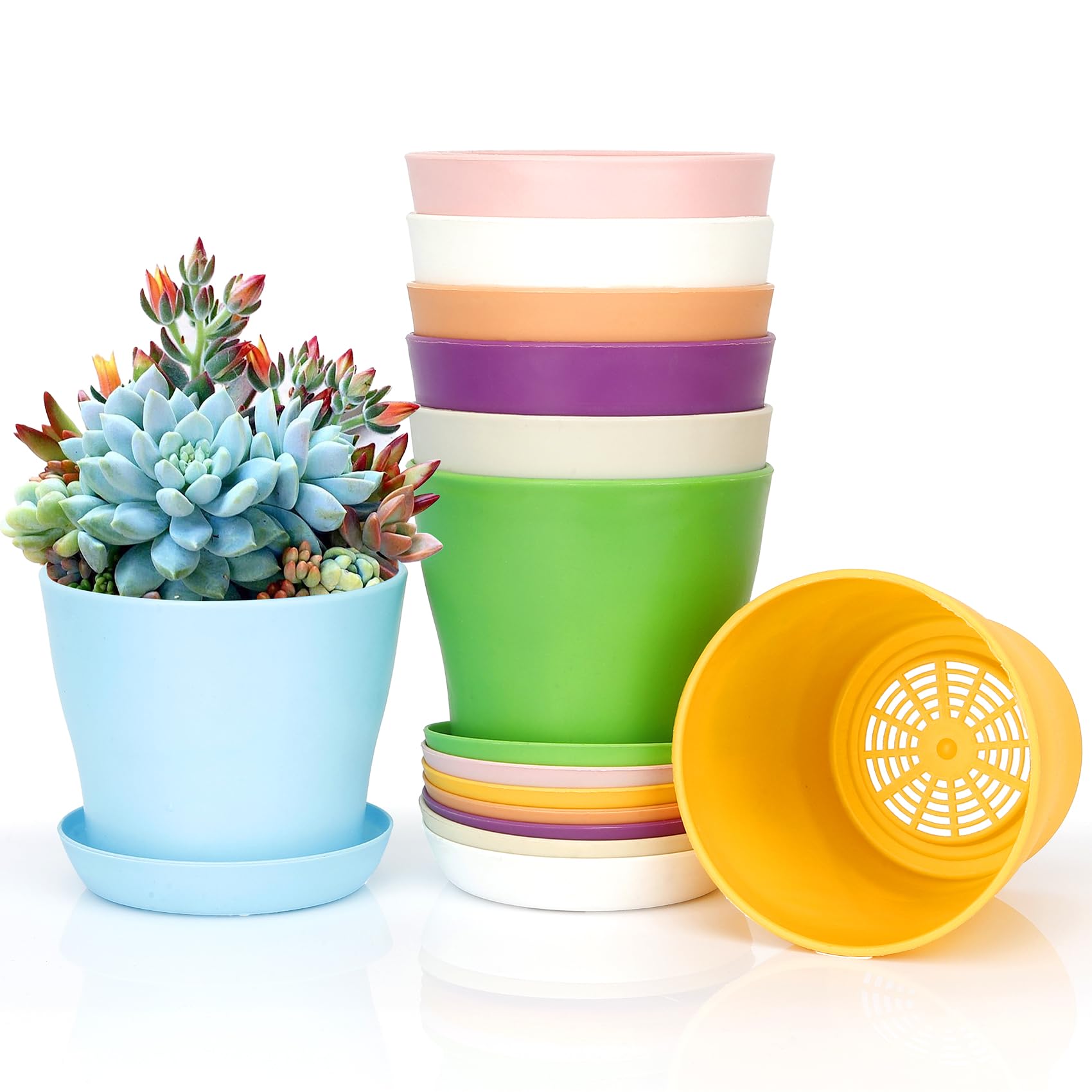 Bchjatk 8 multi-coloured small plant pots in a bright arrangement