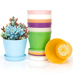 Bchjatk 8 multi-coloured small plant pots in a bright arrangement