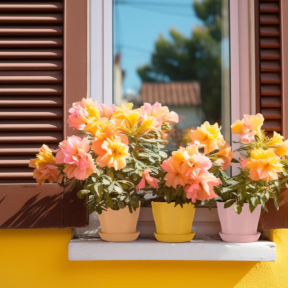 Bchjatk multi-coloured plant pots displayed in a garden