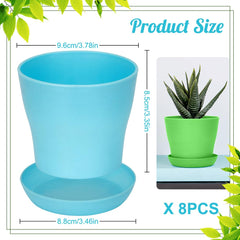 Bchjatk small plant pots with tray on a wooden table