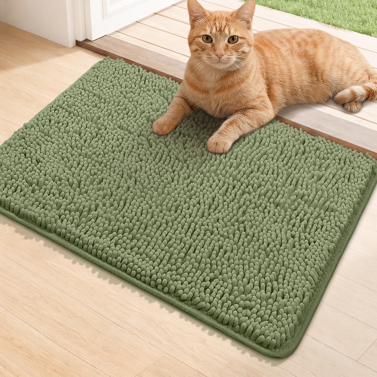 Bcoimo Super Absorbent Cat Door Mat front view in sage color