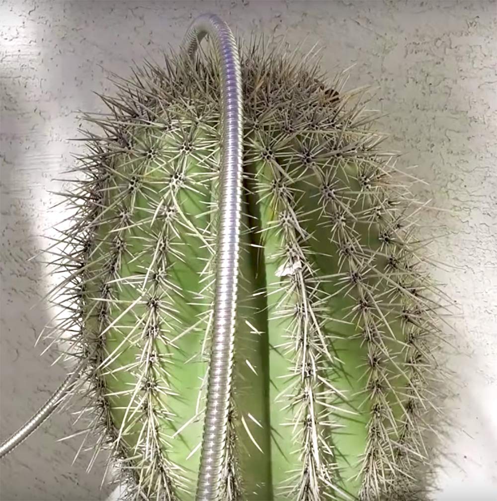 Beaulife stainless steel garden hose in use watering plants