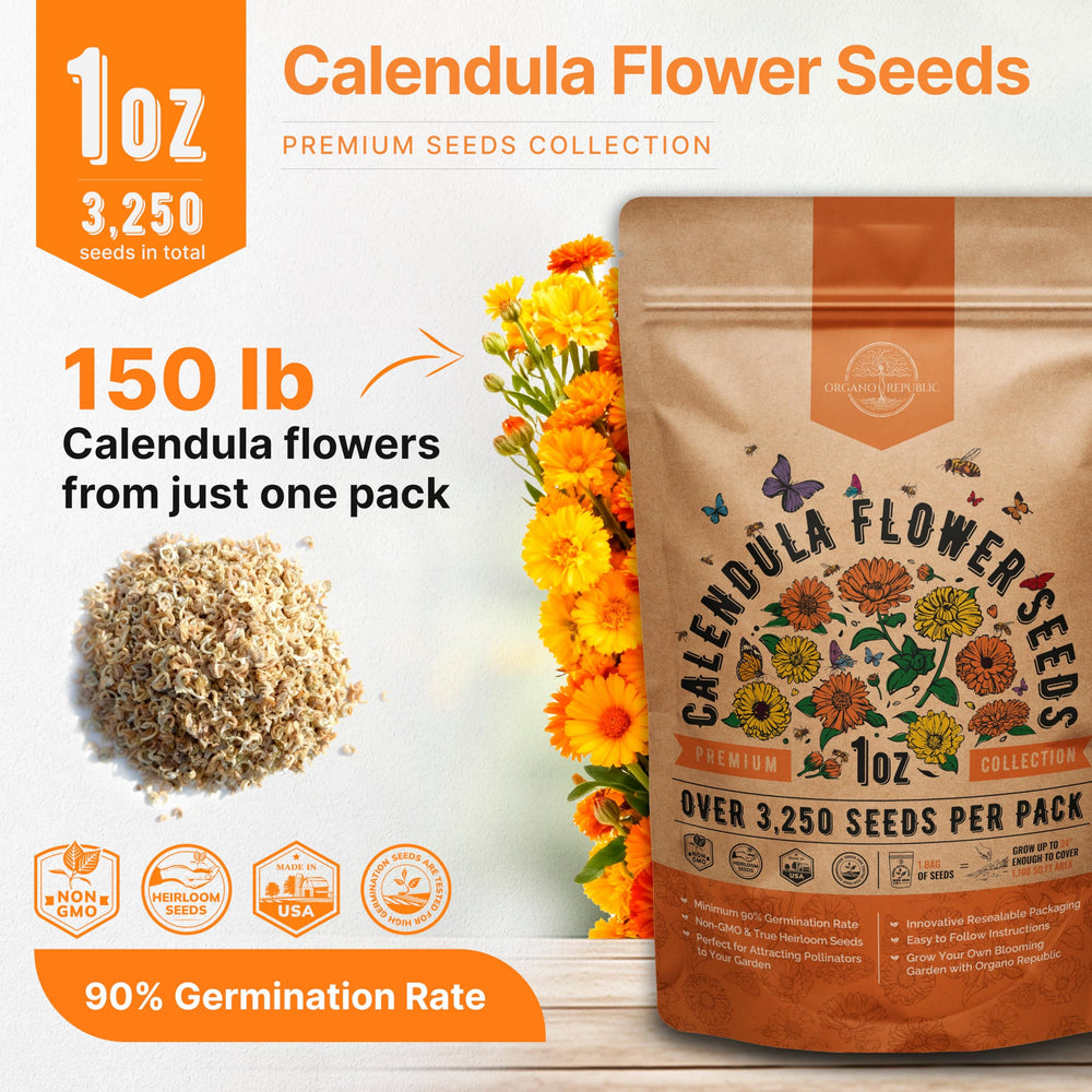 Beautiful blooming Calendula flowers in garden