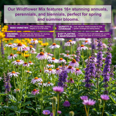 Beautiful garden featuring PLANTMEW wildflowers in bloom