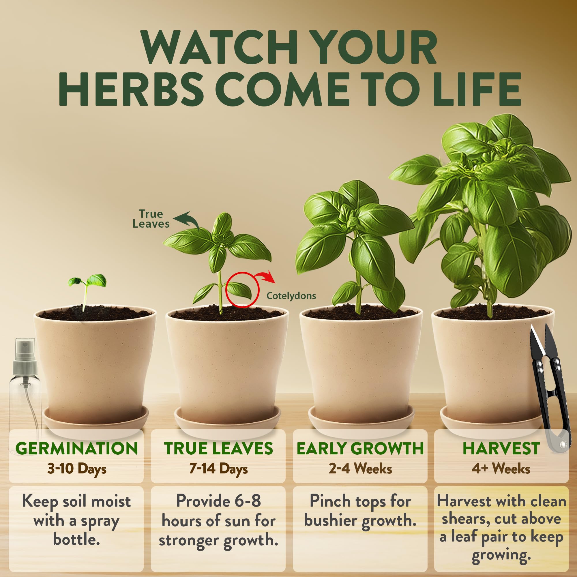 Beautifully packaged HOME GROWN herb garden kit ready for gifting