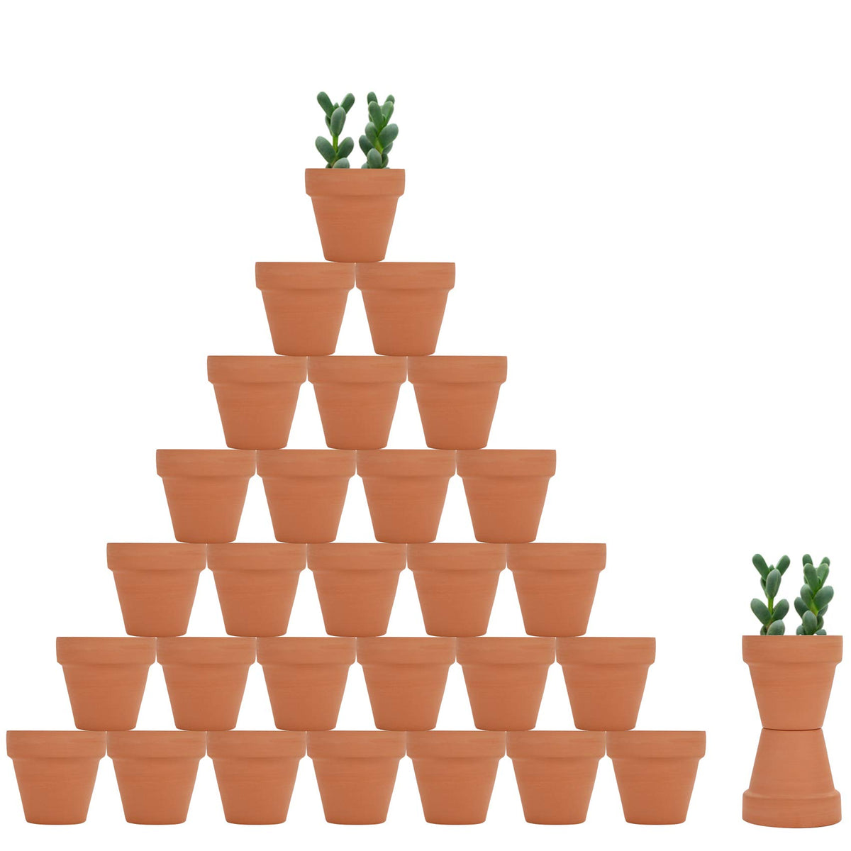 Becory 32pcs Mini Terracotta Pots 2 Inch with saucers