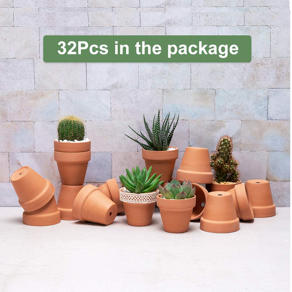 Becory mini pots with various small plants