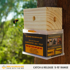 Bee Warehouse Carpenter Bee Trap showing extra large catch chamber