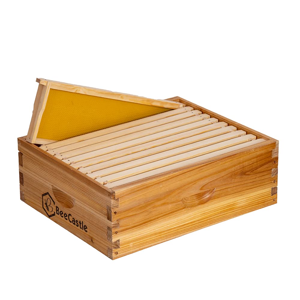 BeeCastle 10 Frame Medium Super Bee Hive Box front view