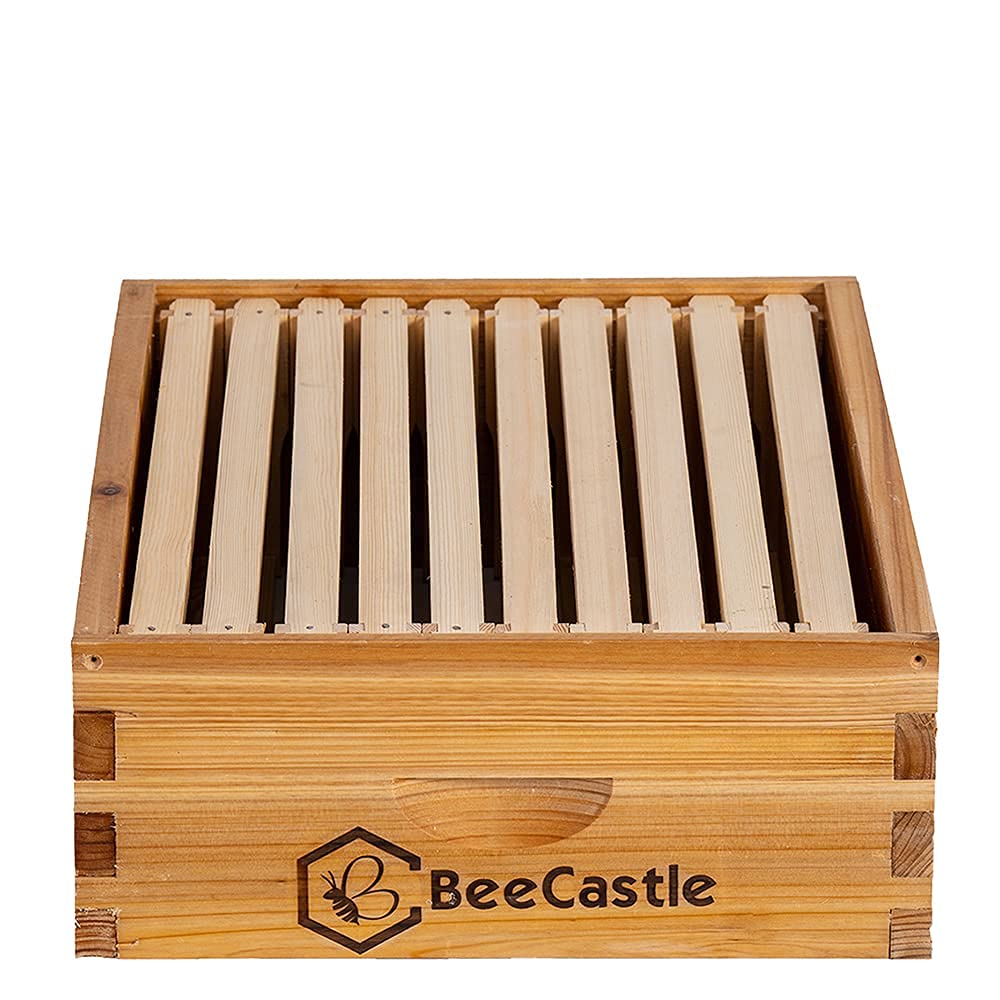 BeeCastle 10 Frame Medium Super Bee Hive Box in garden setting