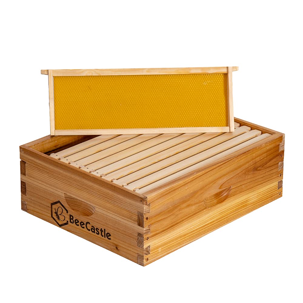 BeeCastle 10 Frame Medium Super Bee Hive Box materials and construction