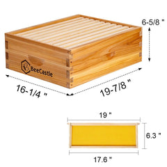 BeeCastle 10 Frame Medium Super Bee Hive Box showing beeswax coating