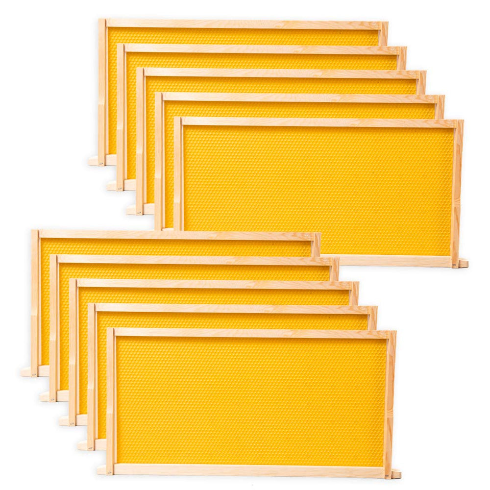 BeeCastle 10-Pack Beehive Frames with beeswax foundations, front view