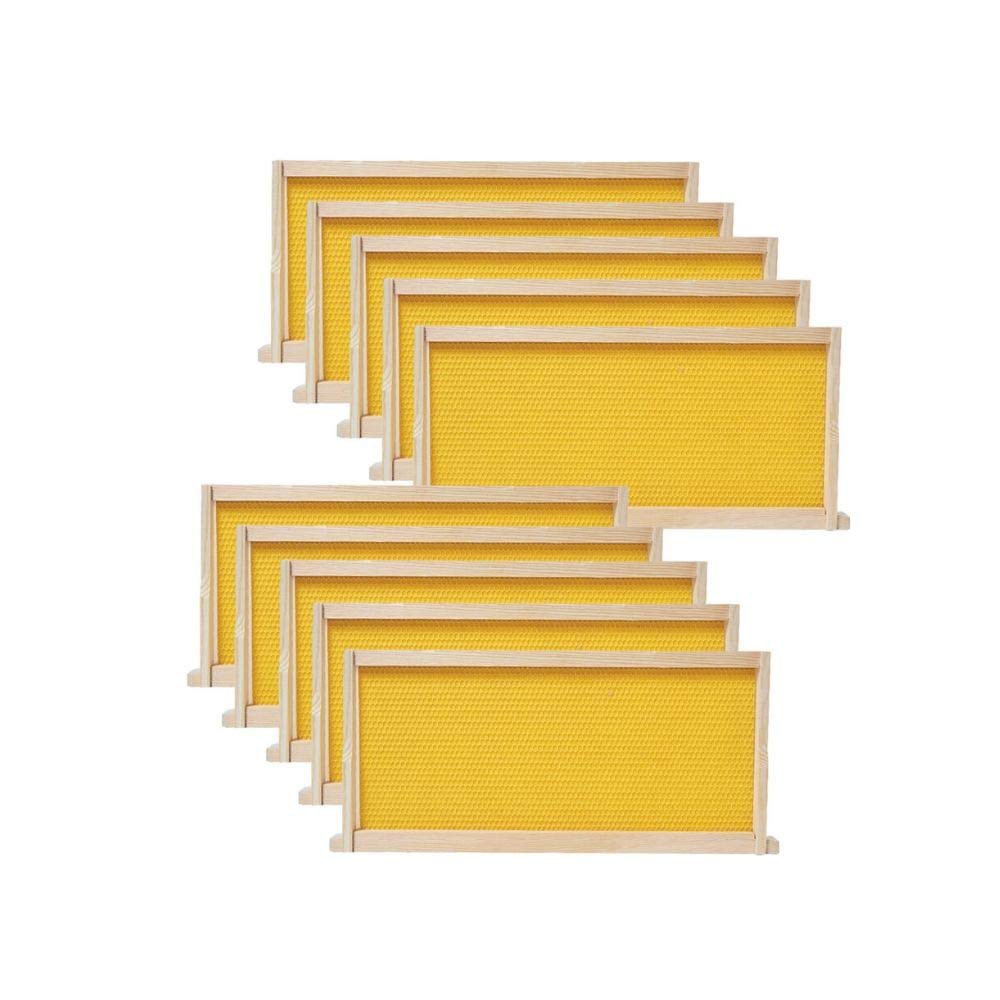 BeeCastle 10-Pack Beehive Frames with waxed foundation front view